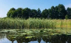 Екскурсія "Поліські Джунглі"