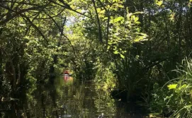 Екскурсія "Поліська Амазонка"