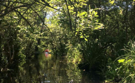 Екскурсія "Поліські Джунглі"