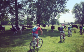 Екскурсія "Велоралі"