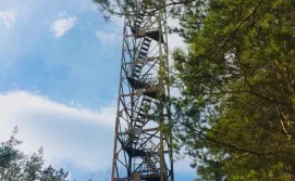 Екскурсія "Велоралі"