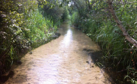 Екскурсія "Поліська Амазонка"