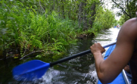 Екскурсія "Поліська Амазонка"