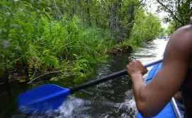Екскурсія "Поліська Амазонка"