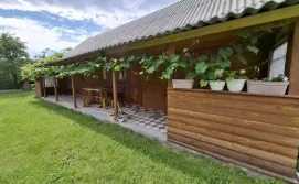 Приватний сектор У Ольги