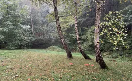 Котедж Джерело під лісом