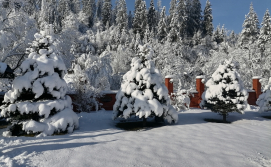 Апартаменты Chalet Zolota Pidkova & River