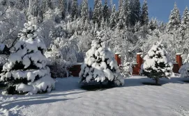 Апартаменты Chalet Zolota Pidkova & River