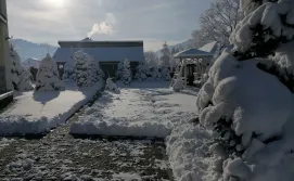 Апартаменты Chalet Zolota Pidkova & River