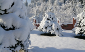 Апартаменты Chalet Zolota Pidkova & River