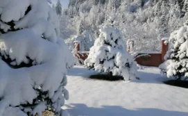 Апартаменты Chalet Zolota Pidkova & River