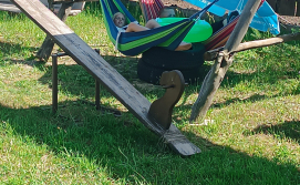 Приватна садиба У Софії