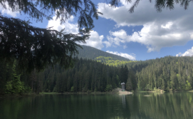 Приватна садиба Два брати