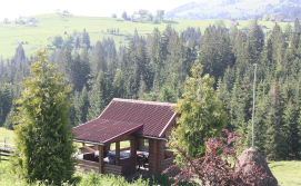 Частная усадьба "Полонина"