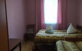 Приватний сектор у Світлани