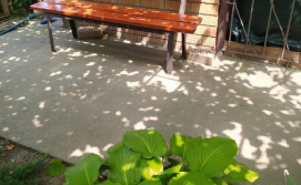 Приватний сектор у Світлани