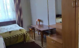 Приватний сектор у Світлани