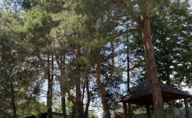 Приватний сектор У Дяді Міши