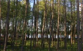 Будинок для відпочинку поряд з озером.