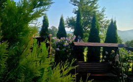 Приватна садиба MILA