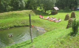 Приватна садиба Карпатський острівець - ставок на території