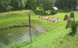 Приватна садиба Карпатський острівець - ставок на території