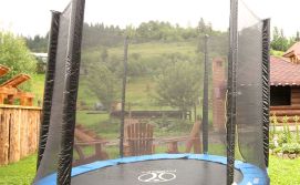 Приватна садиба Живописні Карпати