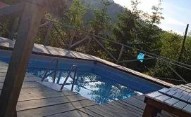 Котедж Арніка Карпатська