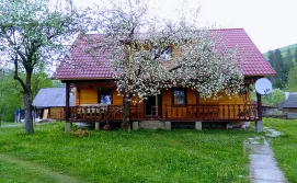 Приватна садиба Трембіта