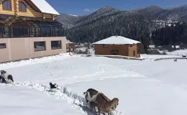 Приватна садиба Панорама Маґура