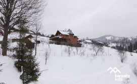 Приватна садиба У Софії під Тростяном