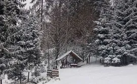 Котедж Карпатські мальви