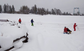 Котедж Карпатські мальви