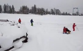 Котедж Карпатські мальви