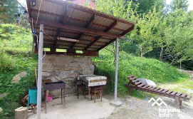 Котедж 12 місяців - У Василя на Тростяні