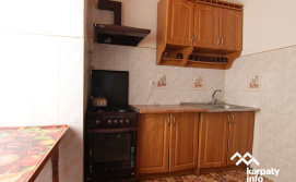 Приватна садиба Карпатська хата