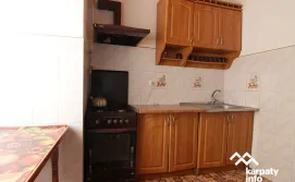 Приватна садиба Карпатська хата