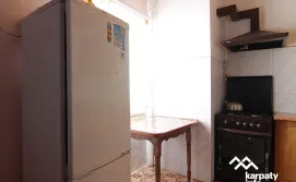 Приватна садиба Карпатська хата