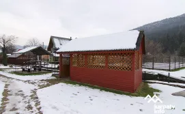 Котедж Світлана