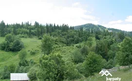 Приватна садиба Біля Тростяну