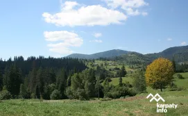 Приватна садиба Краса Карпат