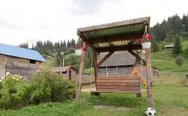 Котедж під лісом