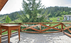 Апартаменти у Робінзона