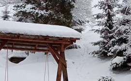 Котедж Арніка Карпатська