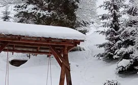 Котедж Арніка Карпатська