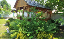 Котедж Ромео (сауна/баня на дровах)