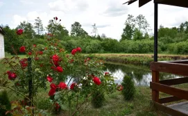 Гостинний двір Шкільна