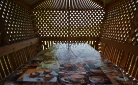 Приватна садиба Піонія