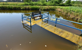 Приватна садиба Під виноградом