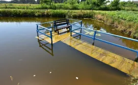 Приватна садиба Під виноградом